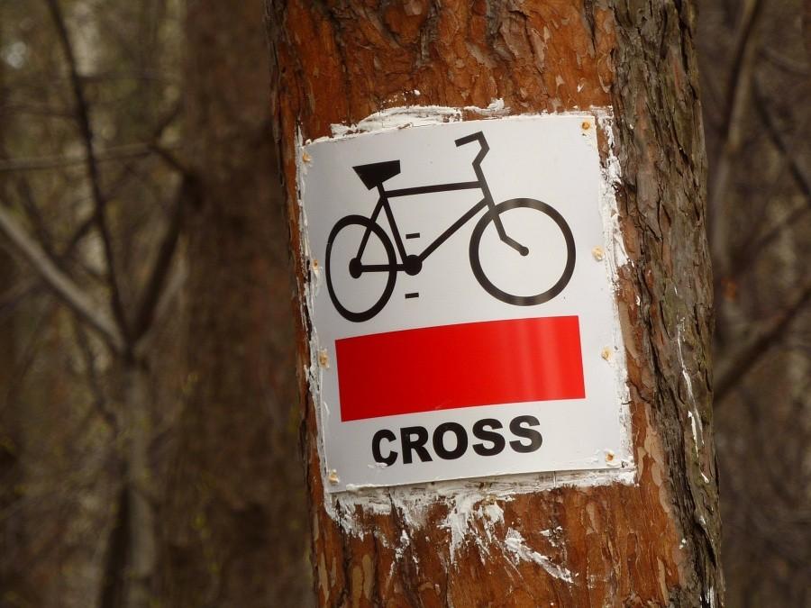Oznakowanie szlaków rowerowych w podmareckich lasach