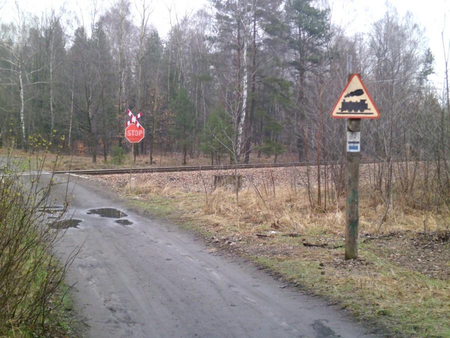 Przejazd kolejowy w lasach na Giszowcu
