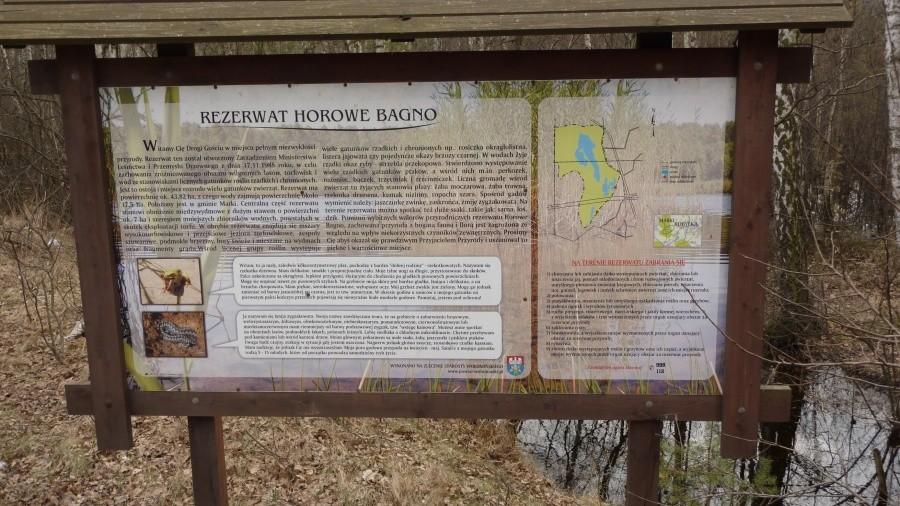 Rezerwat Horowe Bagno