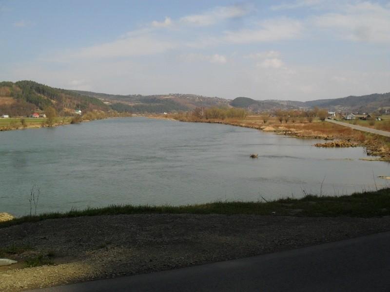 Dunajec w Witowicach