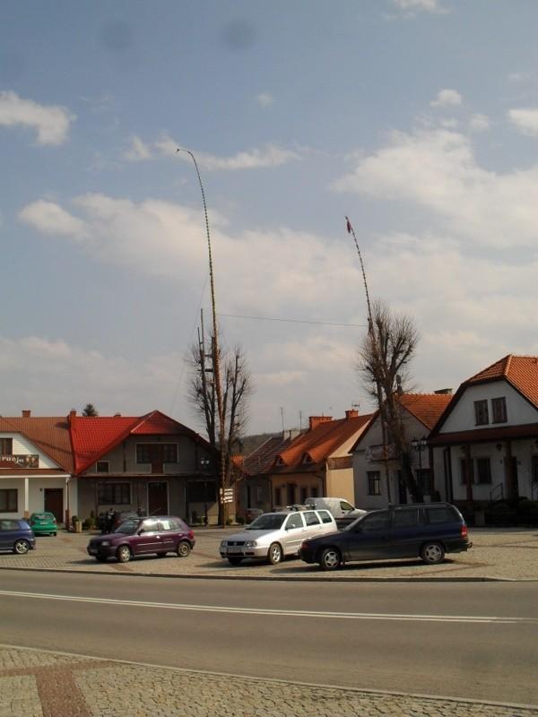 Lipnica Murowana-palmy