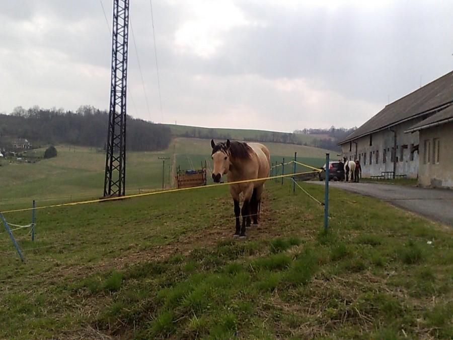 okolice Jilesovic
