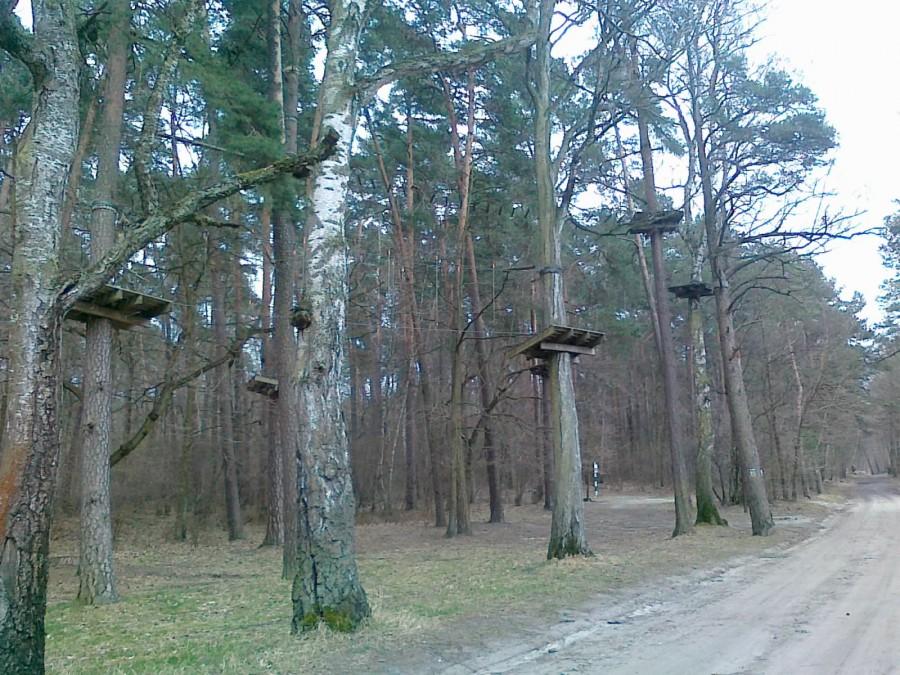 Park linowy. Zimne Doły