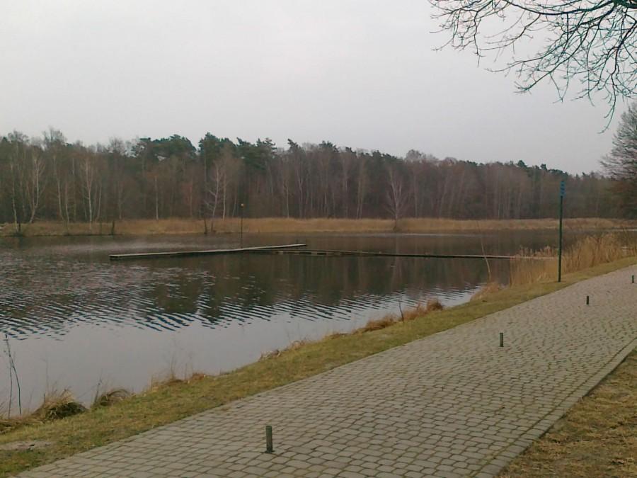 Jezioro w Zalesiu