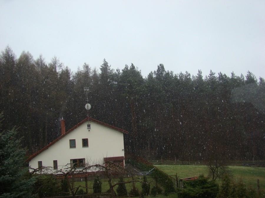 Wielkanoc 2012 Szczecin . Coś dziwnego zaczyna się dziać.