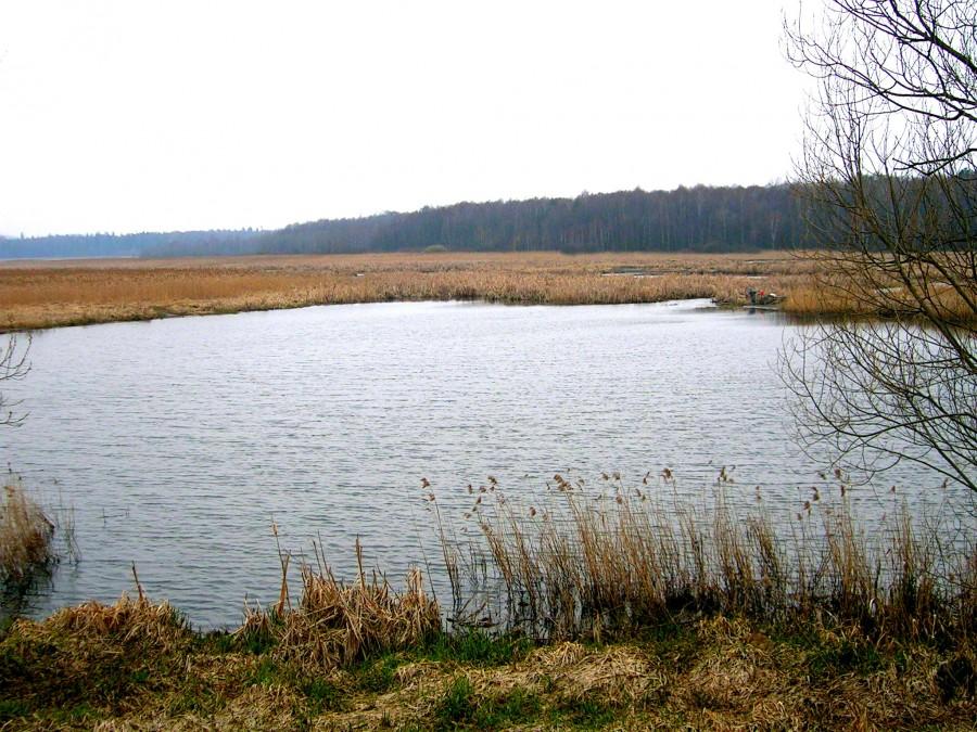 Jeziorko przy ujściu Brynicy