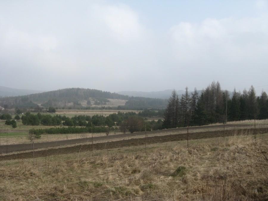 Widoczek