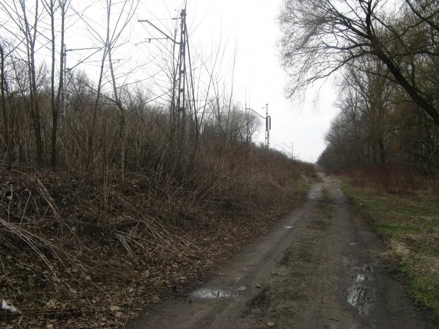 Droga z Dąbrowy do Będzina Ksawery