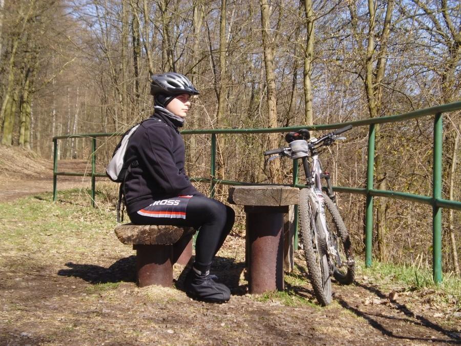 Na skarpie Jeziora Swarzędzkiego