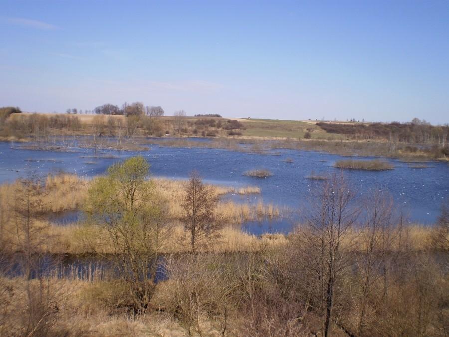Pradolina Rzeki Cybiny
