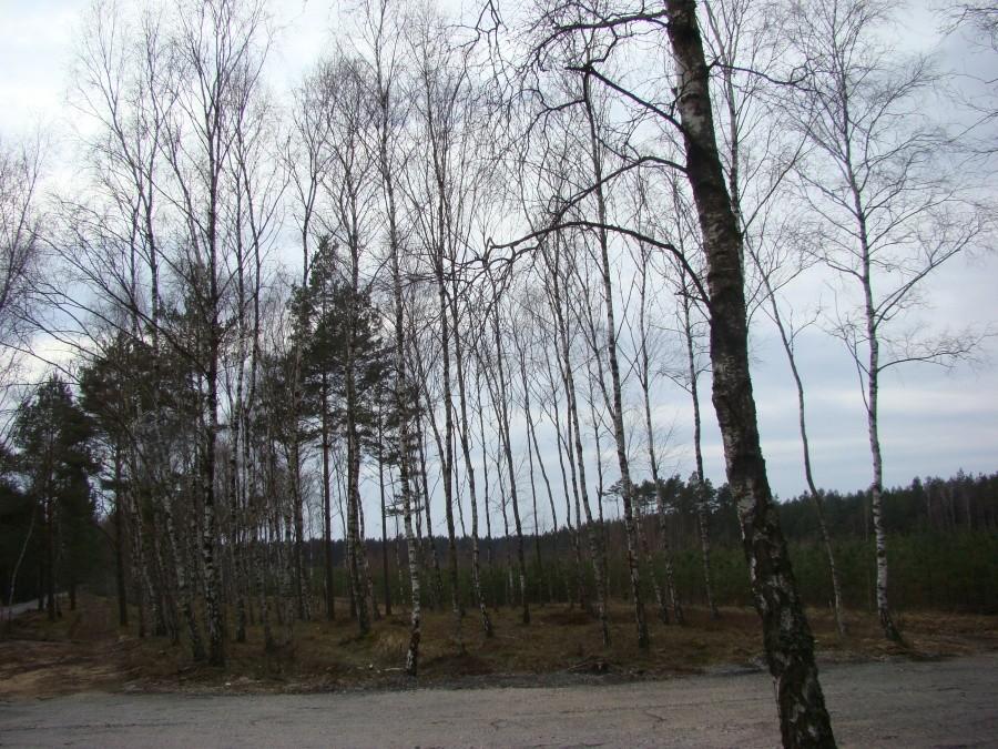 Wycieczka w lany poniedziałek - droga -27 pogoda jak marzenie