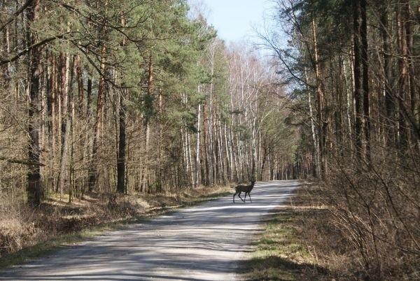 a ja na nią :)