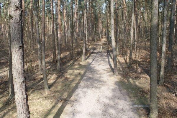 dziś był mój pierwszy raz