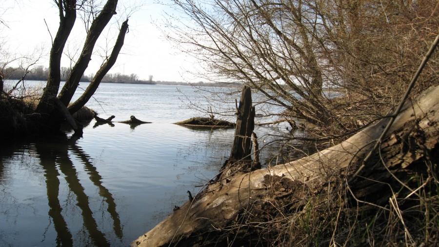 Ujście rzeki Mień (Lipnianki) do Wisły