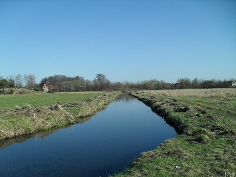 ostrowy oksza