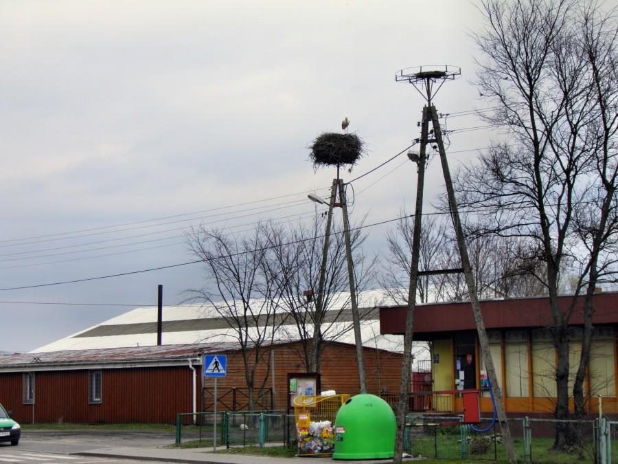 Miejscowość przygraniczna Buk i bocian w gnieździe.