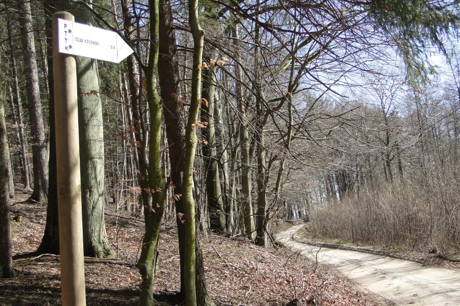 PTTK Szlak Kociewski