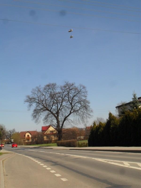 Dziwne, wiszące obiekty w Świniarsku
