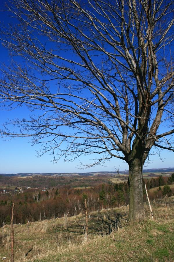 Widoczki na pogórze