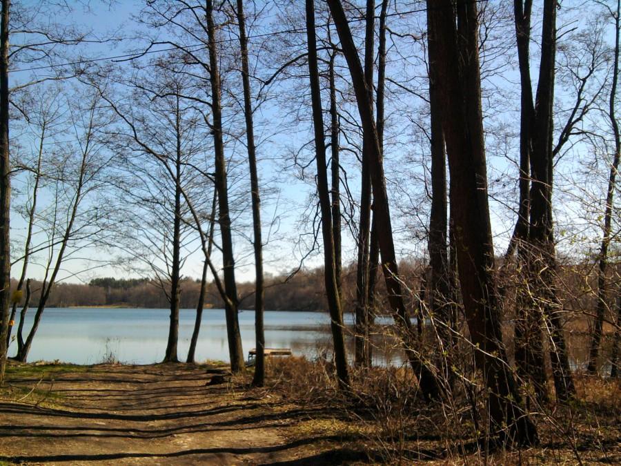 Spokój nad Jeziorem Salno
