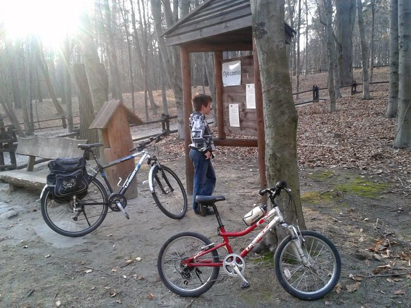 Przy kapliczkach w Łagiewnikach