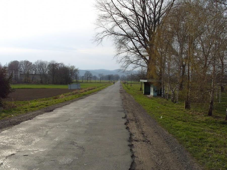 Piękna prosta z Dzbanowa na Bardo. Pozdrawiam kolegów których mijałem w Dzbanowie.