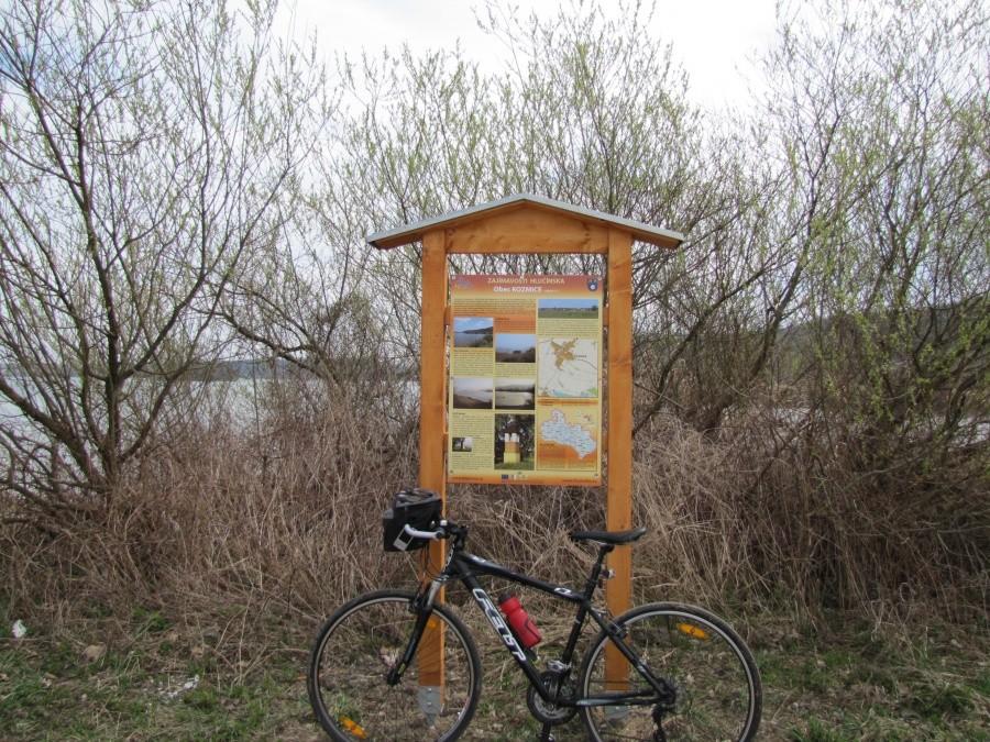 Ścieżka rowerowa