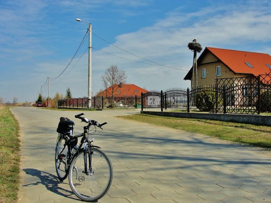 Wreszcie w tym roku zobaczyłem bociana.