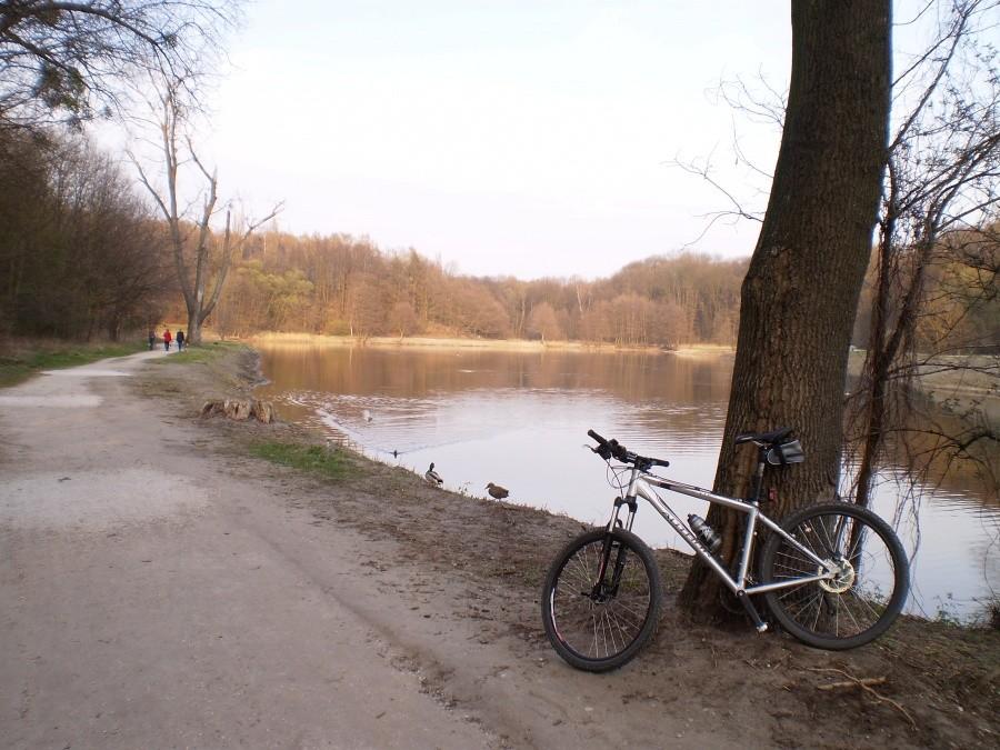 Staw Olszak