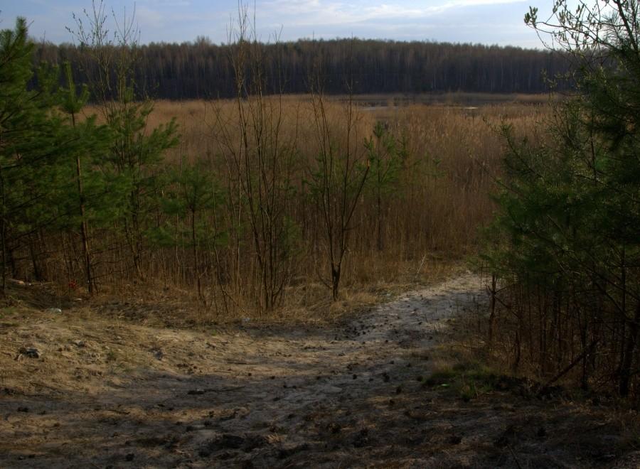 ściezki wąskie ...