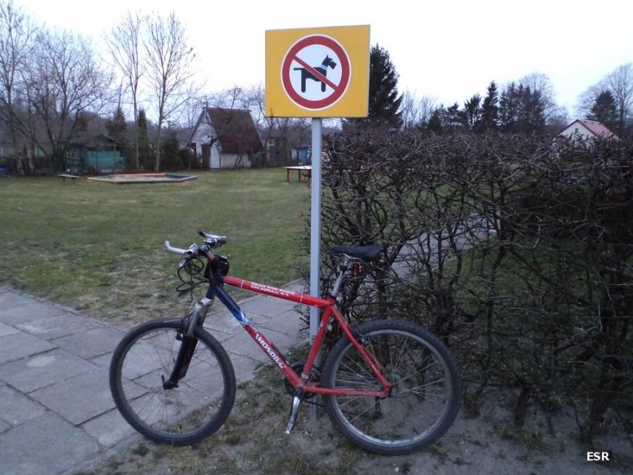 Zakaz ruchu "czarnych psów w niebieskich obrożach"