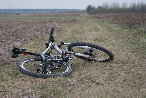 Czarny Bocian leży