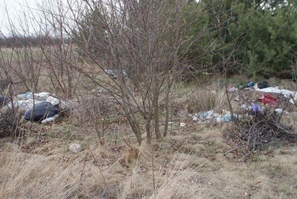 są i ludzie źli, którzy tak oto czynią