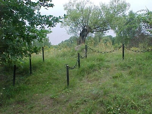 cmentarz z Żabieńcu ulica Łąkowa