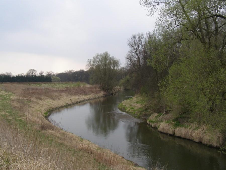 Meandry Bystrzycy na Praczach
