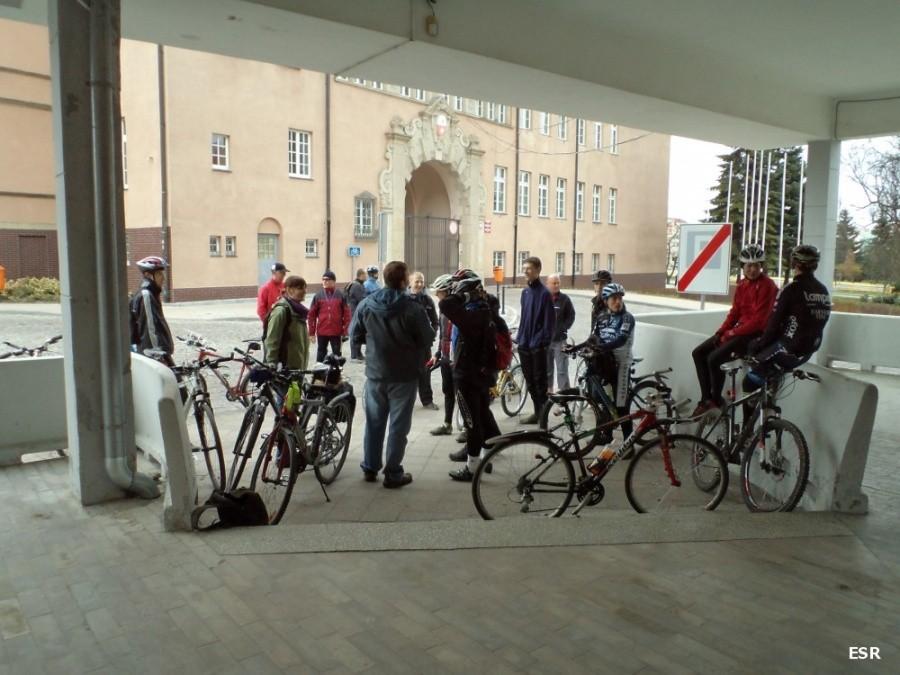 XXII EINO - Alleycat WDW