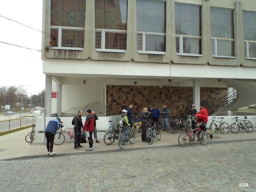 XXII EINO - Alleycat WDW