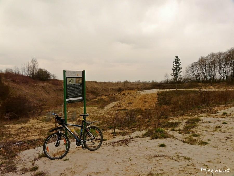 Siedlisko roślin ciepłolubnych na Księżej Górze