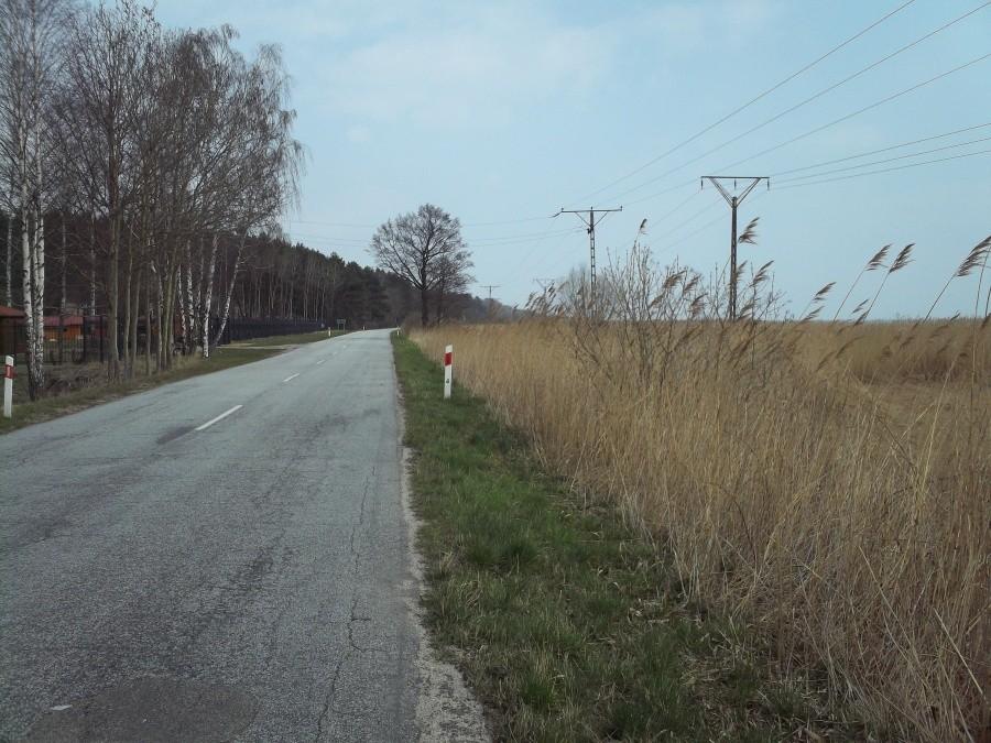 Droga w Skowronkach - za trzcinami Zalew Wiślany