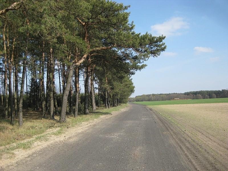 Nieznane, terenowe drogi