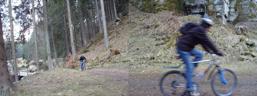 Ryjek wleciał pod górę 50km/h ledwo fotokomórka w aparacie go wyłapała.