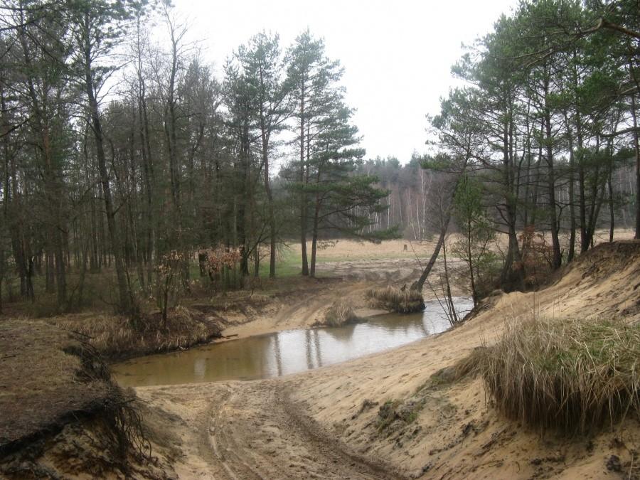Okolice Chechła