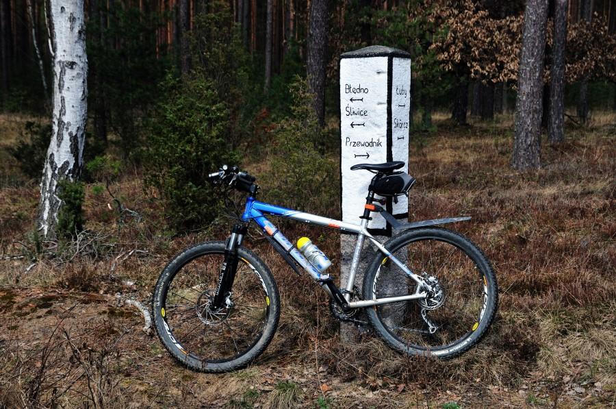 Drogowskaz w Borach Tucholskich