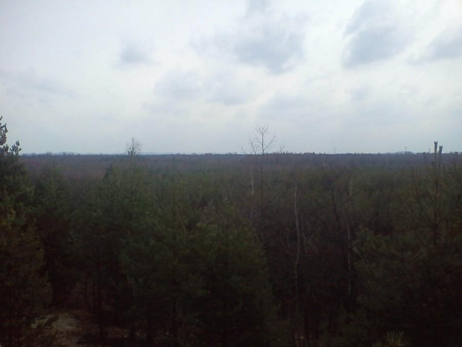 Widok z ambony