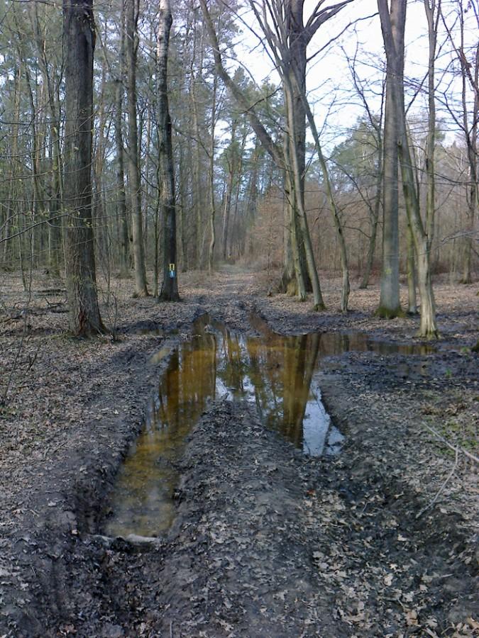OtMwP- Kolejne kałuże na trasie