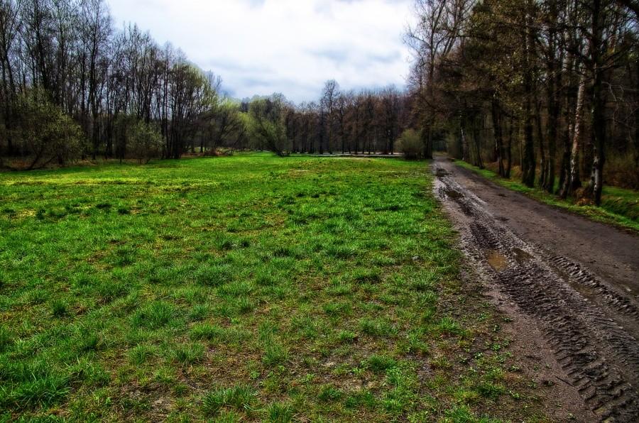 park w Zabrzu