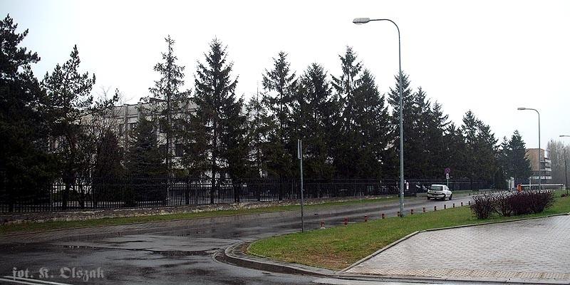 Północnokoreański parawan