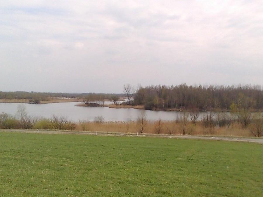 Polder Buków