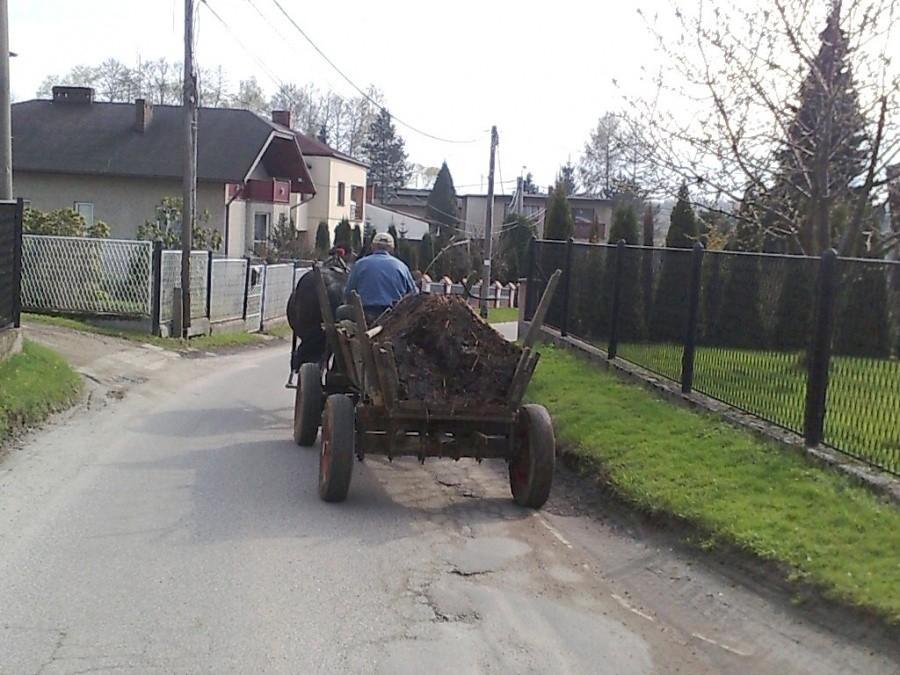 Wożę się za furmanką .