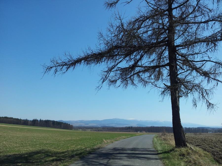 Ośnieżona Śnieżka i Czarna Góra